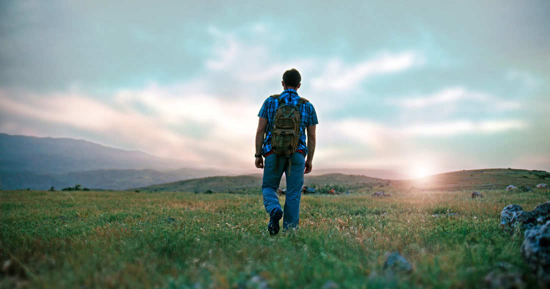 A person wearing a blue plaid shirt, jeans, and a backpack walks through a grassy field toward a pastel-glow horizon at sunrise or sunset.